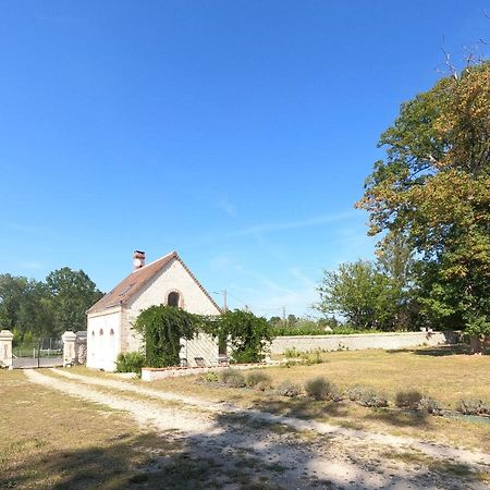 Chateau Des Nouies Villa Selles-sur-Cher Eksteriør billede