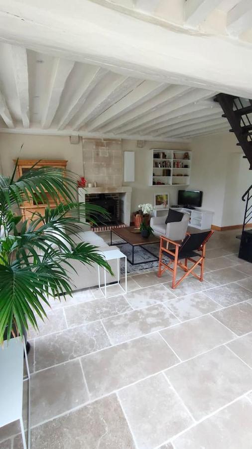 Chateau Des Nouies Villa Selles-sur-Cher Eksteriør billede