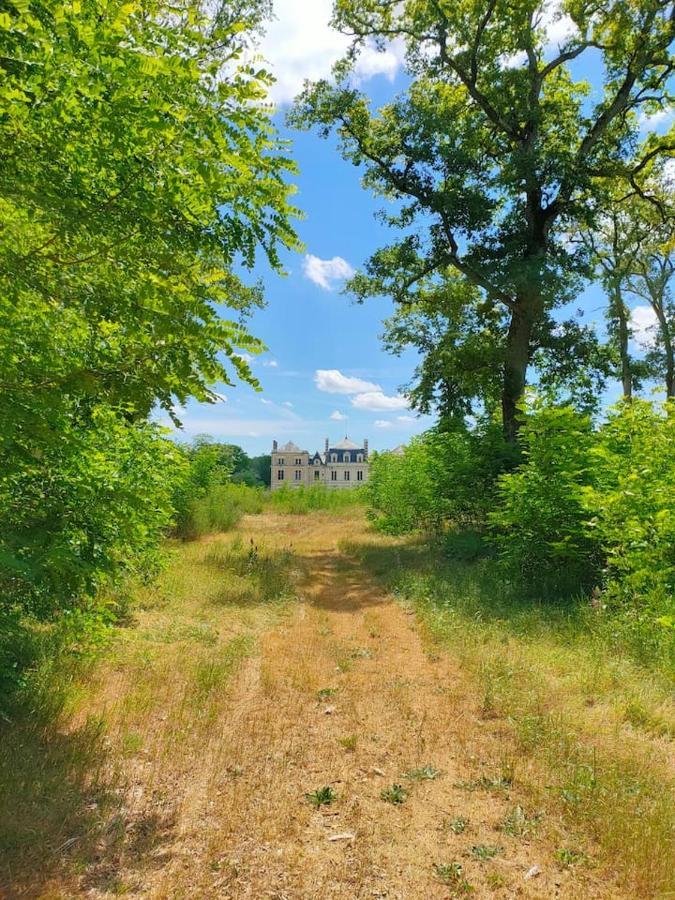 Chateau Des Nouies Villa Selles-sur-Cher Eksteriør billede