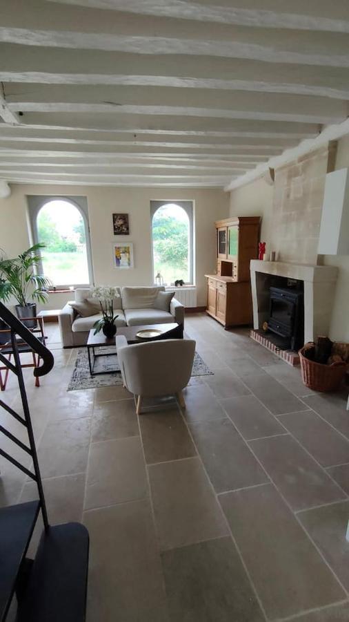 Chateau Des Nouies Villa Selles-sur-Cher Eksteriør billede