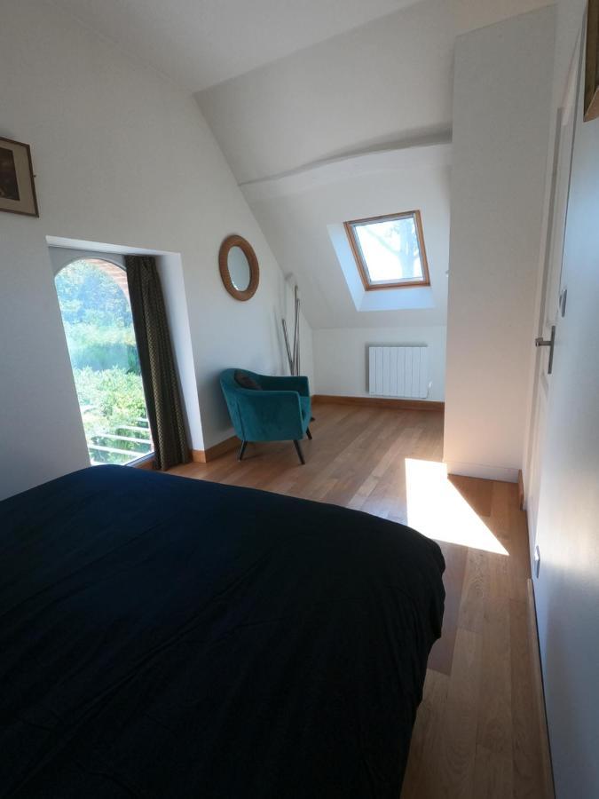 Chateau Des Nouies Villa Selles-sur-Cher Eksteriør billede
