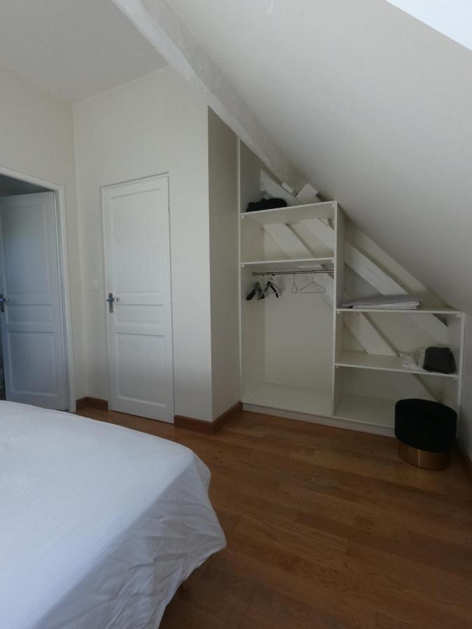 Chateau Des Nouies Villa Selles-sur-Cher Eksteriør billede