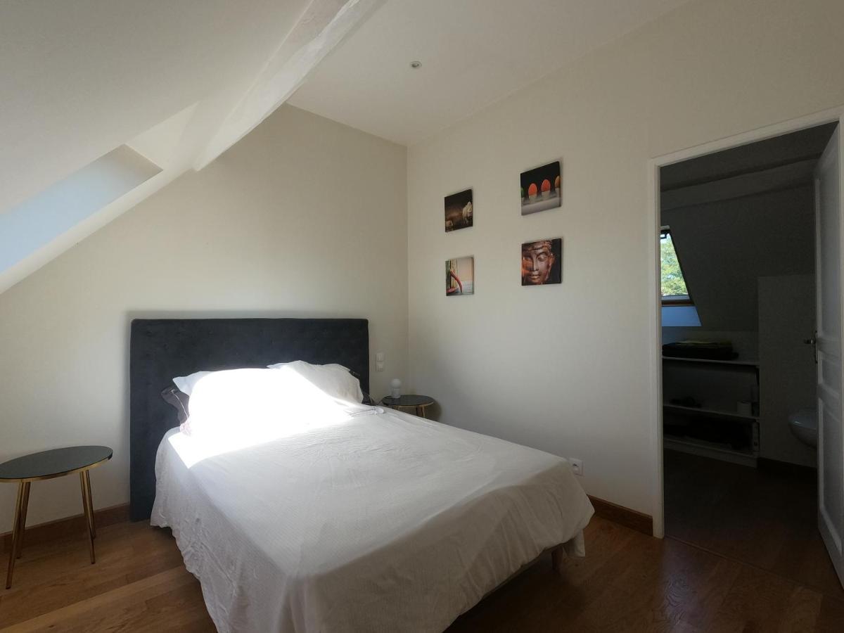 Chateau Des Nouies Villa Selles-sur-Cher Eksteriør billede