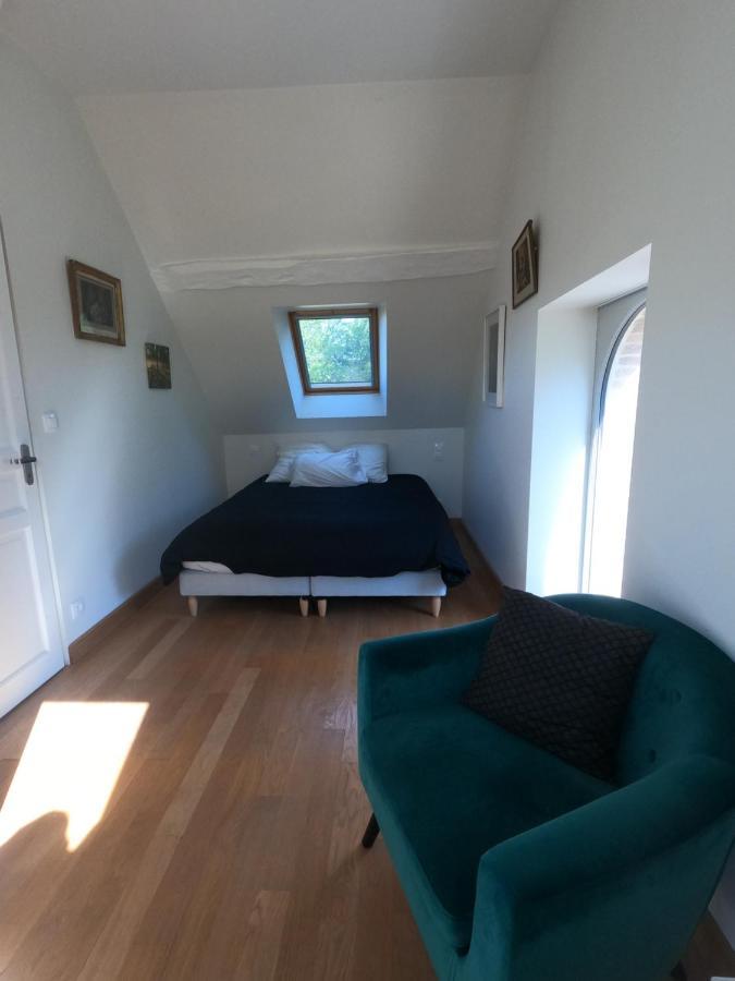 Chateau Des Nouies Villa Selles-sur-Cher Eksteriør billede
