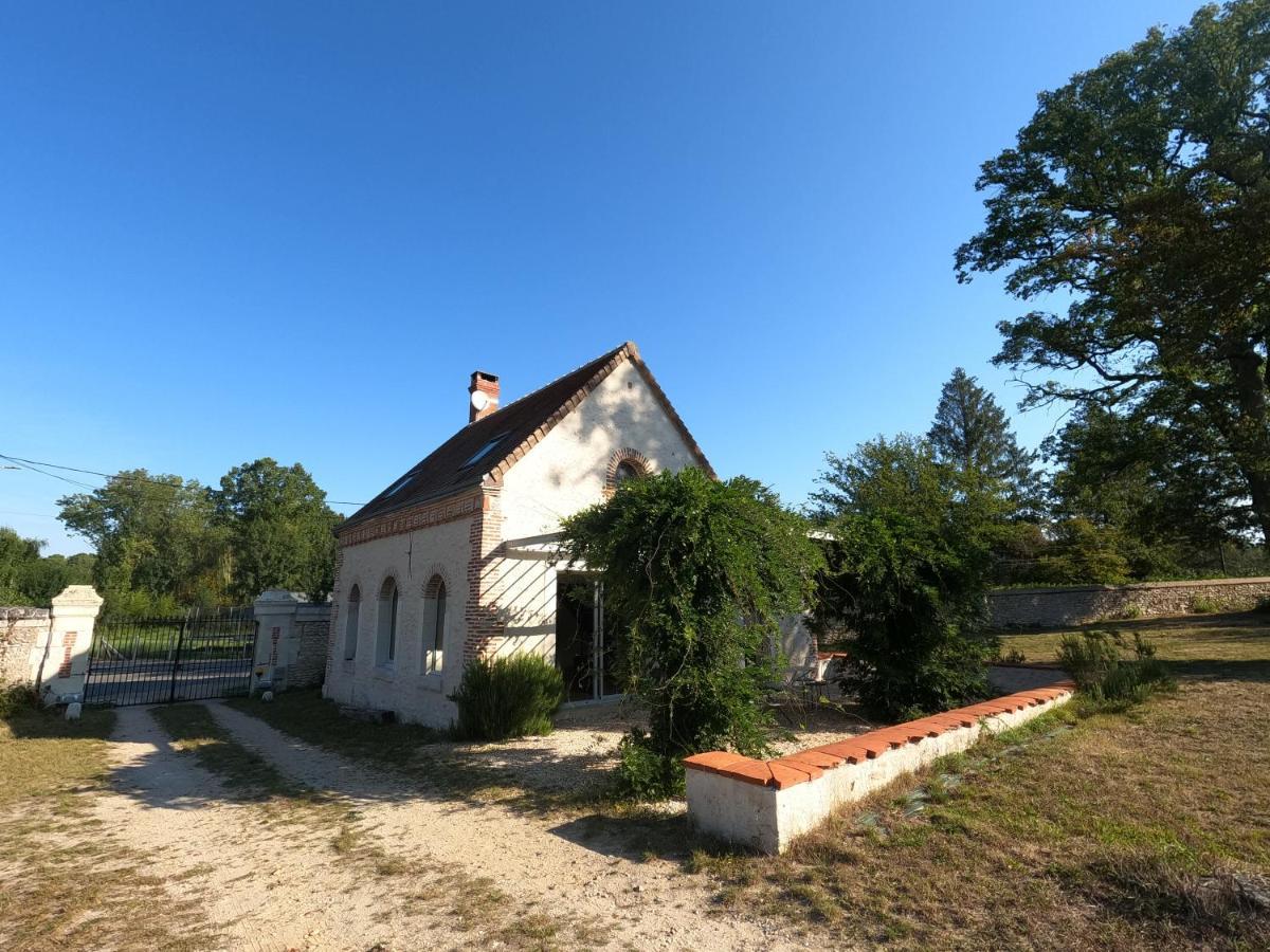 Chateau Des Nouies Villa Selles-sur-Cher Eksteriør billede